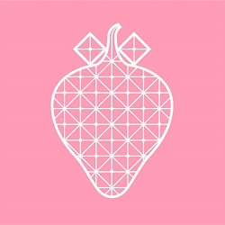 StrawberryNET Logo